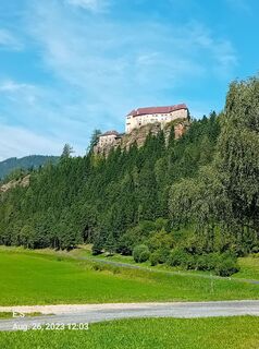 Photo de Schabsi le long du parcours