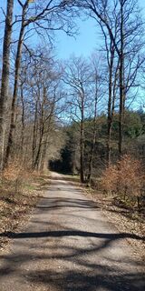 Foto von Sandra K. 2 entlang der Tour