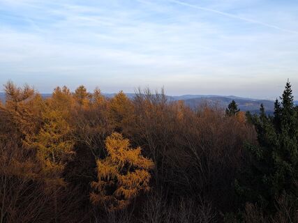 Fotografia z Walter Köllner na trase