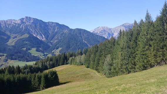 Foto von Fantom RoK entlang der Tour