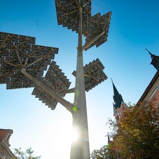 Kunsttrail_Solarbaum_Oststeiermark