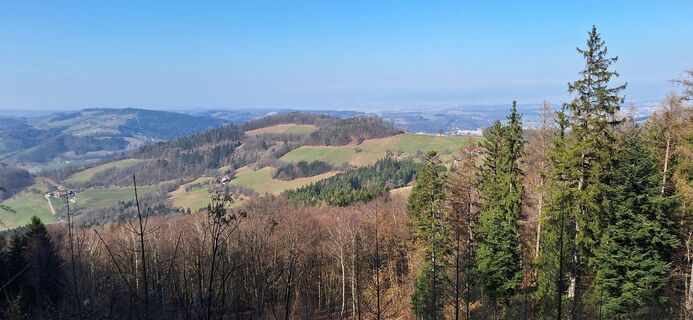 Zdjęcie z Manuela bischof wzdłuż trasy