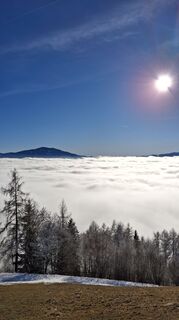 Foto von Monika Wirth entlang der Tour