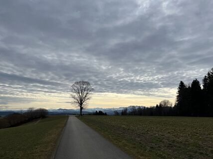 Photo de Schertenleib le long du parcours