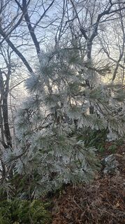Foto von Mateja Rečnik entlang der Tour