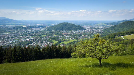 Photo de Kurt le long du parcours