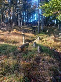 Photo de Christian Priller le long du parcours