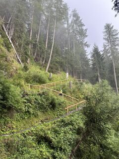 Photo de Theon Bergman le long du parcours