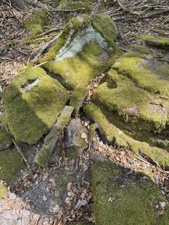 Foto von Christian H. entlang der Tour