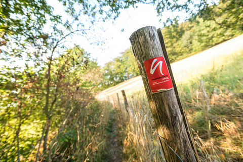 Wegmarkierung des neanderland STEIGs in der Elfringhauser Schweiz