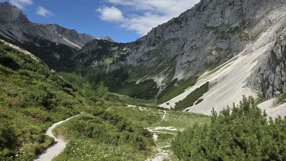 Photo de King Whisky le long du parcours
