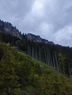 Foto von Mario Krenn 2 entlang der Tour
