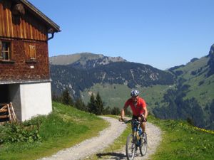 Brendleralpe