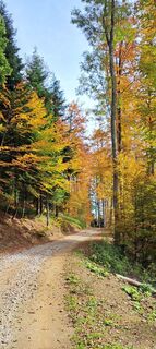 Foto de Dusko Cakara a lo largo del recorrido