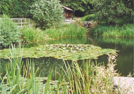 Naturreservat oberhalb des Bezirksschulhauses