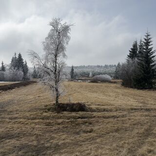 Fotografia z Steffen Kiesel na trase