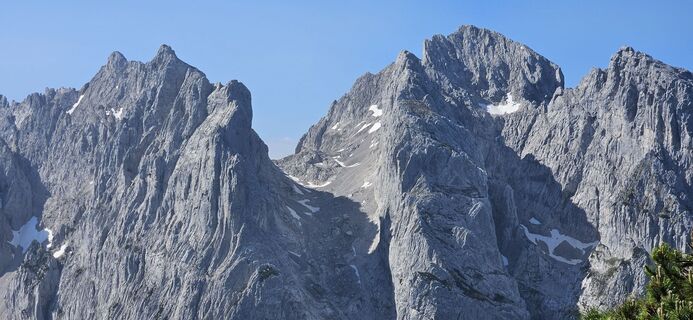 Foto da garrincha lungo il tour