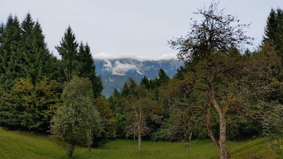 Foto von István Gábor 1 entlang der Tour