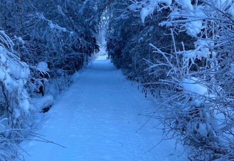 Aufnahme des Winterwanderwegs entlang dem Kunstpfad in Trun.