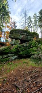 Fotografia z Sandy na trase