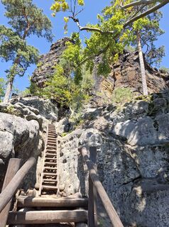 Photo de nordbergschnecke le long du parcours