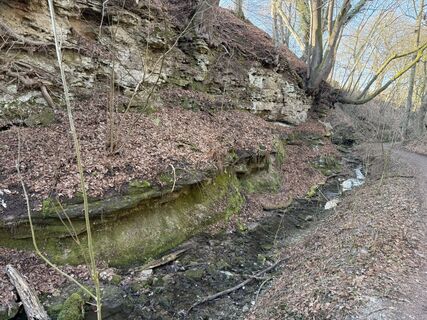 Fotografia z Norbert Herbig na trase