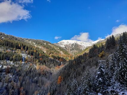 Foto van sumi langs de tour