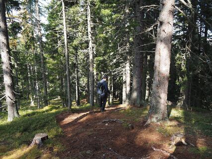 Thalerkogel