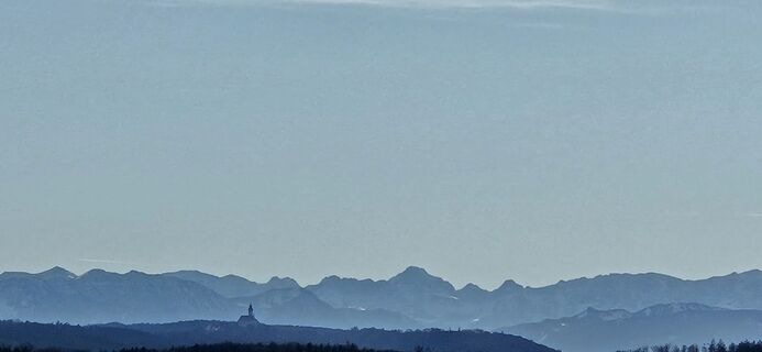 Photo de garrincha le long du parcours