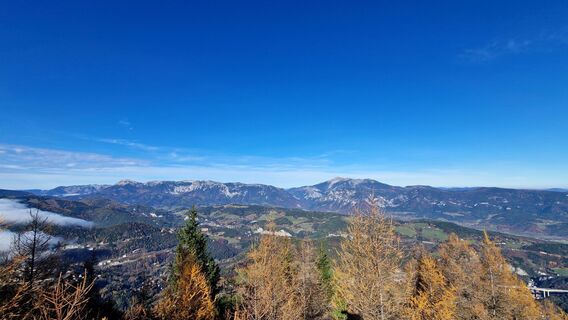 Fotografia z EP87 na trase