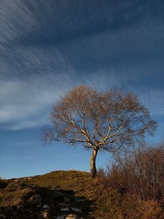 Foto de Aner a lo largo del recorrido