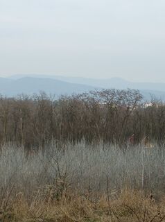 Fotografija s spletne strani Julika Jármer na poti