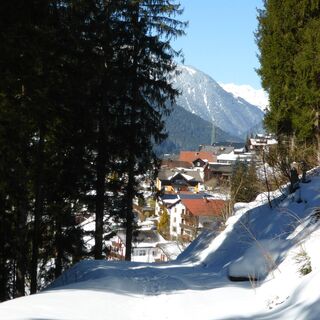 Kilknerwald