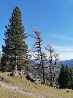 Foto från Sonce.S under resans gång