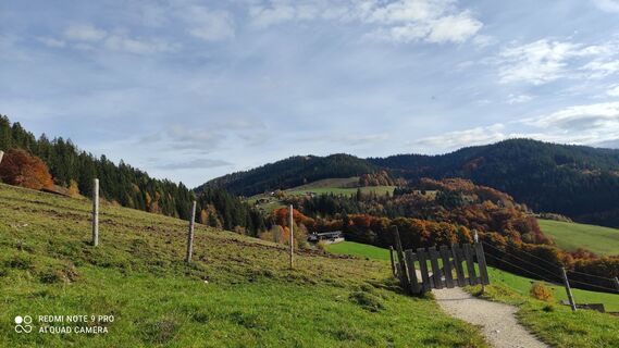 Fotografia z Rhönbomber na trase