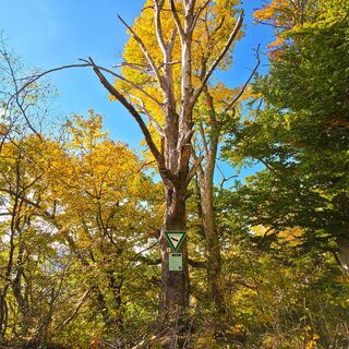 Naturschutzgebiet Nordalb