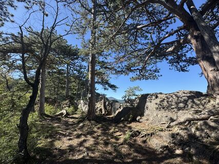 Фото с сайта Gerhard Piglmann во время экскурсии