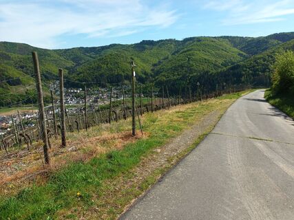Fotografie de la Sven Kellner 1 de-a lungul turului
