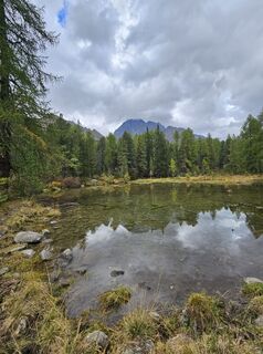 Foto da Anna Krizhanovska lungo il tour