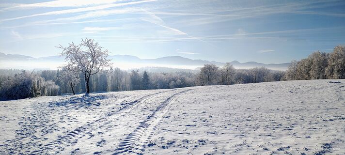 Fotografie z Klaus Reithmayer na trase