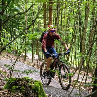 Mountainbikerin auf Trail in Willingen
