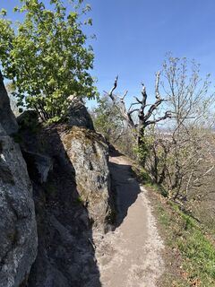 Foto von Danny Laps entlang der Tour
