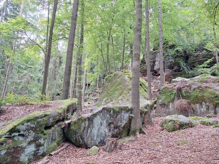 Fotografie z Johann Kaltenegger na trase