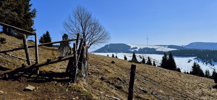 Foto von Sandy entlang der Tour