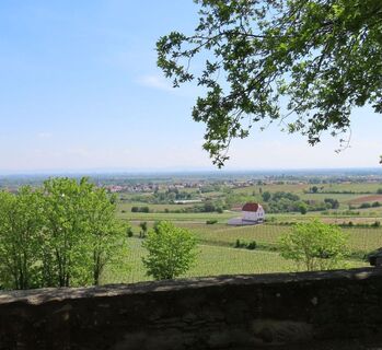 Schlossgarten Bild 3