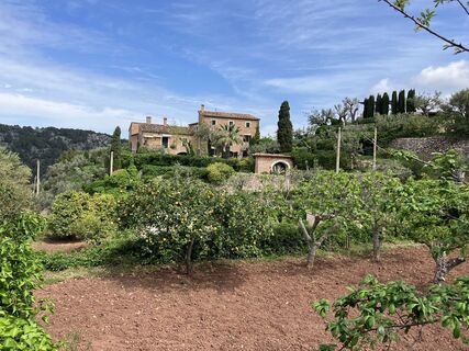 Foto från Ferdinand Gastinger under resans gång