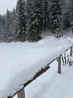 Foto von bikerider.4 entlang der Tour