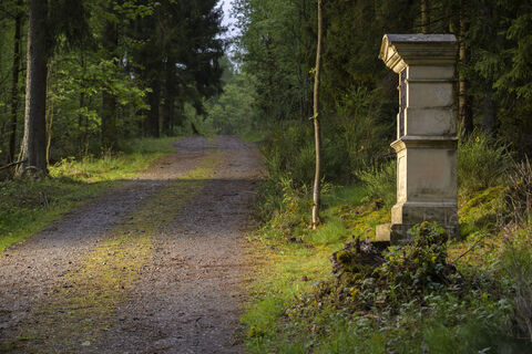 Kreuzweg zum Kahlen