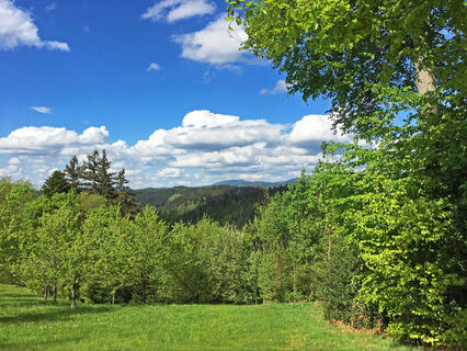 Aussicht Kalikutt