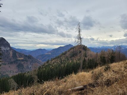 Fotografia z Juliane Jarke na trase